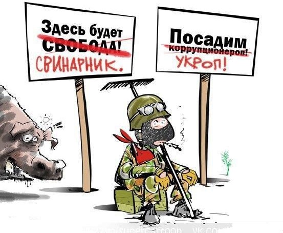 10 политических картинок часть 14