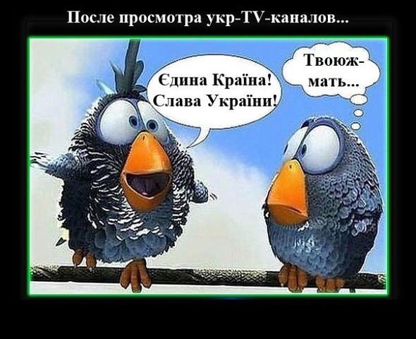 10 политических картинок часть 14
