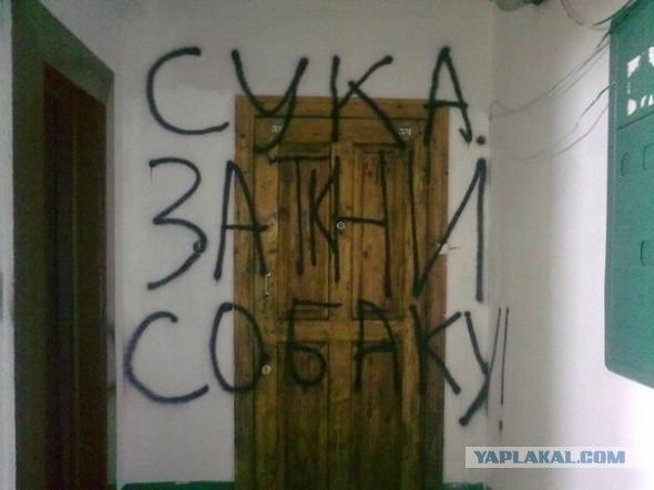 50 прикольных картинок из сети на понедельник