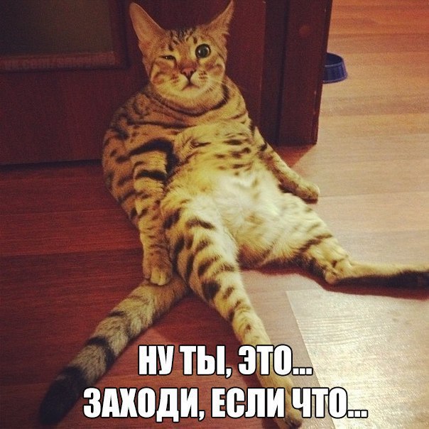 Всяко - разно...картинки