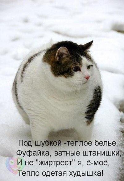 Картинки разные 2