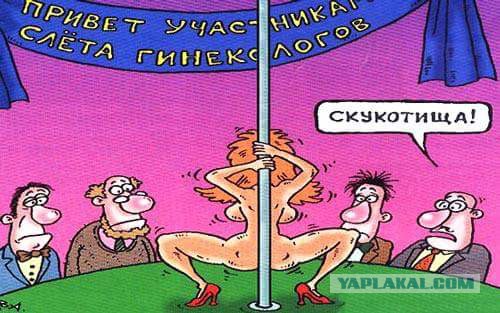 Крик врача гинеколога