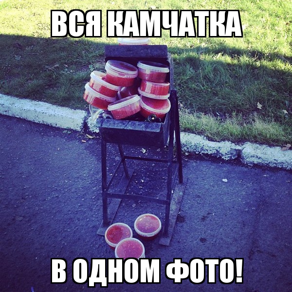 Утомленные икрой: какая она, жизнь на Камчатке?