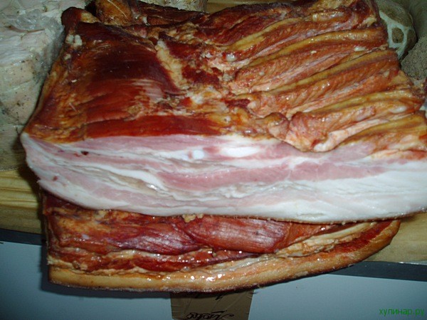 Инстаграм мини-свинки Пухли собрал более 31 тысячи подписчиков