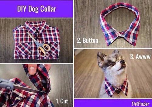 Четверговая солянка