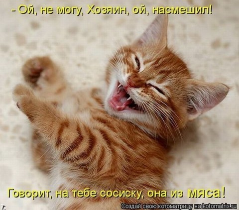 «Росконтроль» признал 75% популярных в России колбас фальсификатом