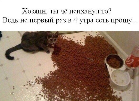Мохнатые беспредельщики