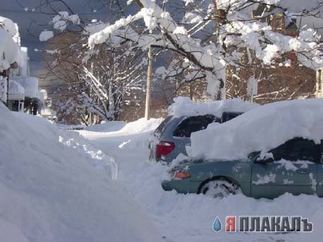 ЗИМА. Зимние картинки, отмороженная подборка