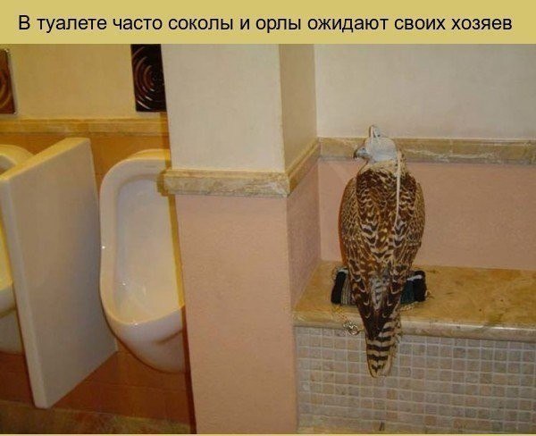 Разные фото. Прикольные и красивые