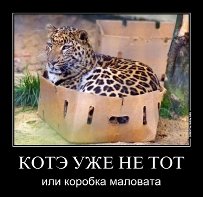 Да как так то?
