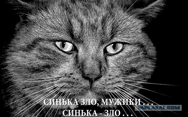 В Анапе неизвестные "отрезвили" пьяного нагайкой и огнетушителем