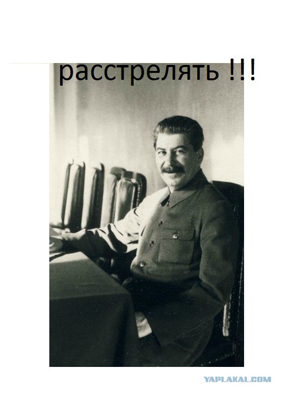 Сын судьи с бандой «малолеток» зарезали и сожгли таганрогского пенсионера