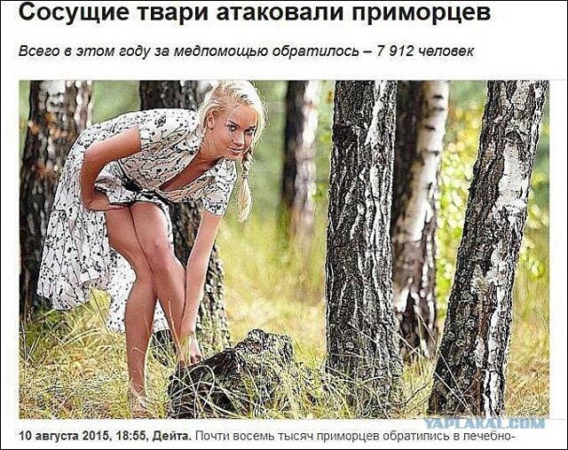 Зло, но смешно, в картинках