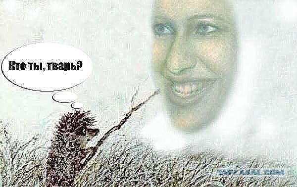 Предвыборная программа К. Собчак.