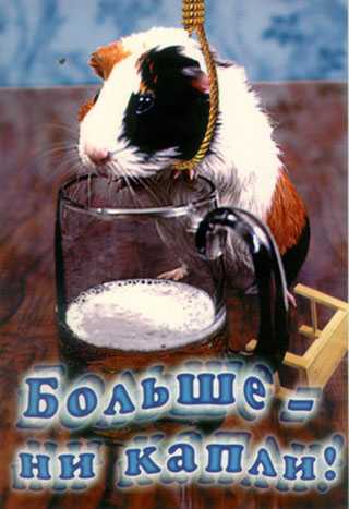 Алко юмор 2.0