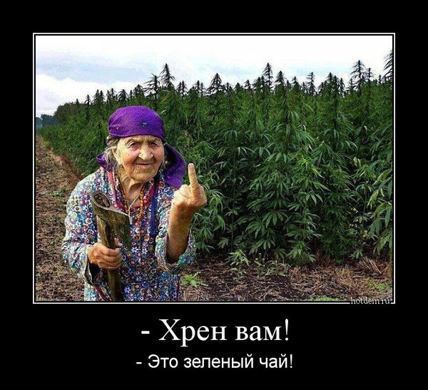 К тверскому кондитеру из соцсетей постучалась налоговая.