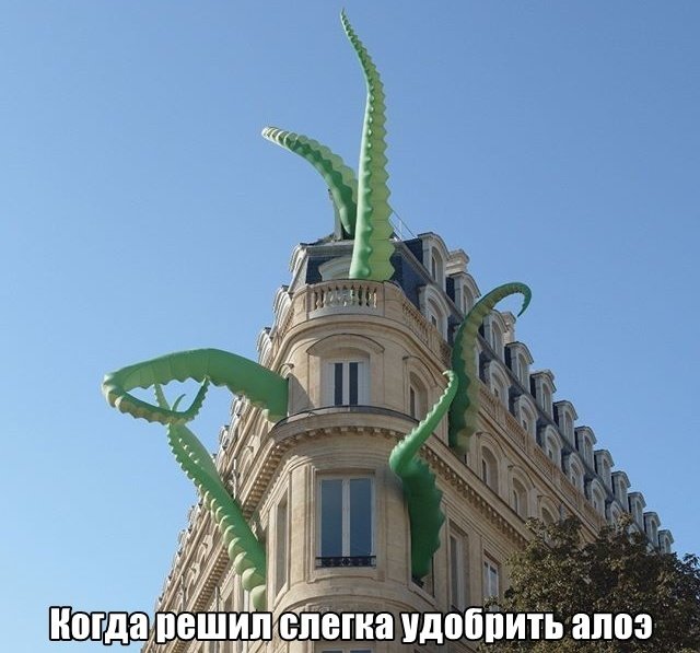 Подборка интересных и веселых картинок 04.09.2018