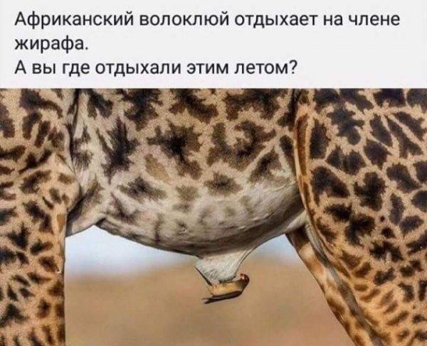 Чо ты такой серьёзный?