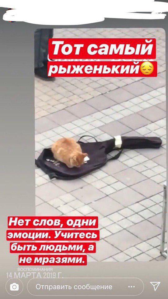 В Симферополе поехавшая девица, двигаясь по пешеходной улице, раздавила  котика уличного музыкантка, спавшего у него в чехле.