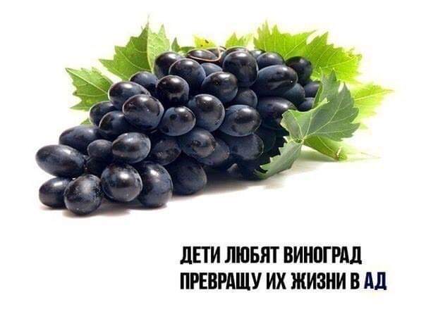 Вива ла деградасьон