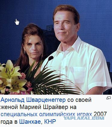 Симпсоны, что вы делаете? Остановитесь!