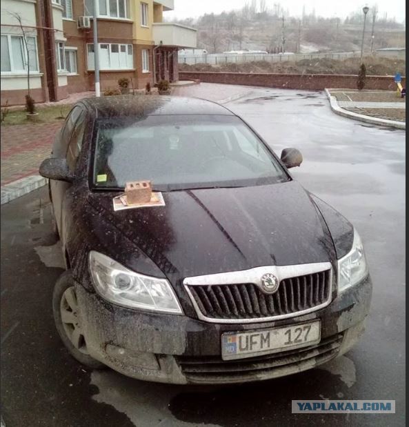 Ну как с такими оленями бороться, ЯПовцы?!