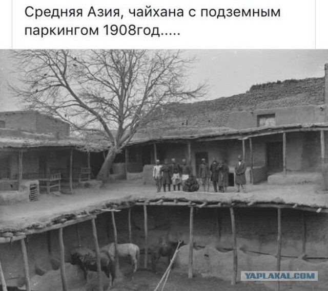 Картинки с надписями, истории и анекдоты