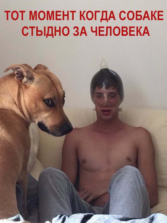 Немного картинок с надписями и без - 16
