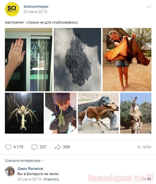 Комментарии к постам в разных группах, которые вызвали улыбку