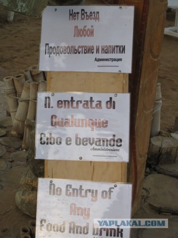 Кушать подано по-египетски или "Яйца Схватки"