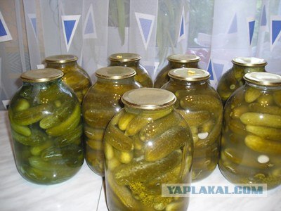 Ответный пост гнева на невежество
