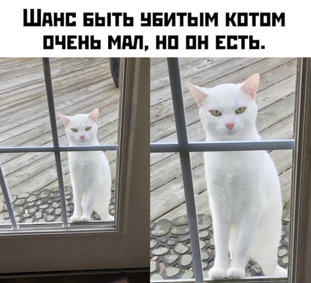 Всем хорошего настроения