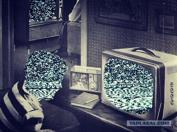Дичь#2. Социум