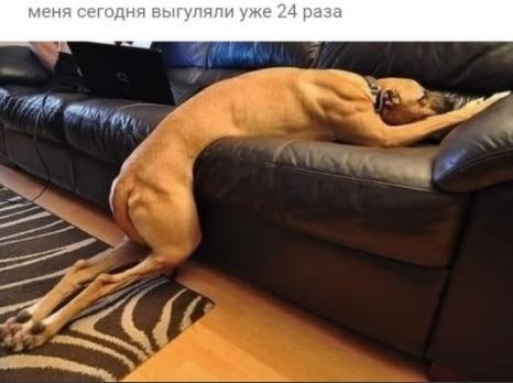 Пропуск универсальный, одна штука