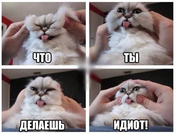 Чуток картинок 31.05.20