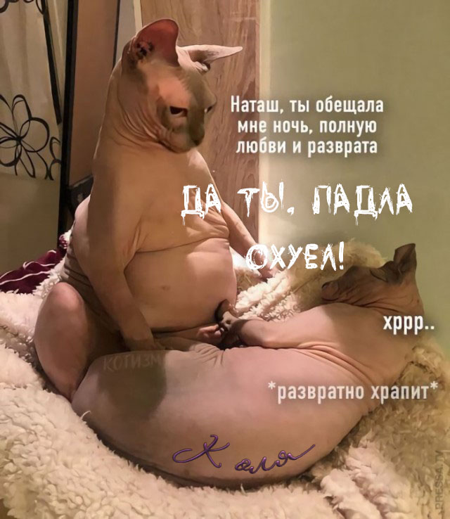Немного картинок для настроения 03.09.20