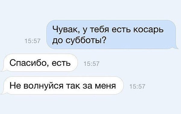 Фотки и картинки: юморные и красивые, забавные и милые 19.10.20