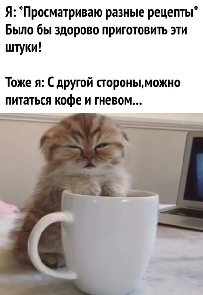 Баянисто-небаянистый юмор 7.11.20