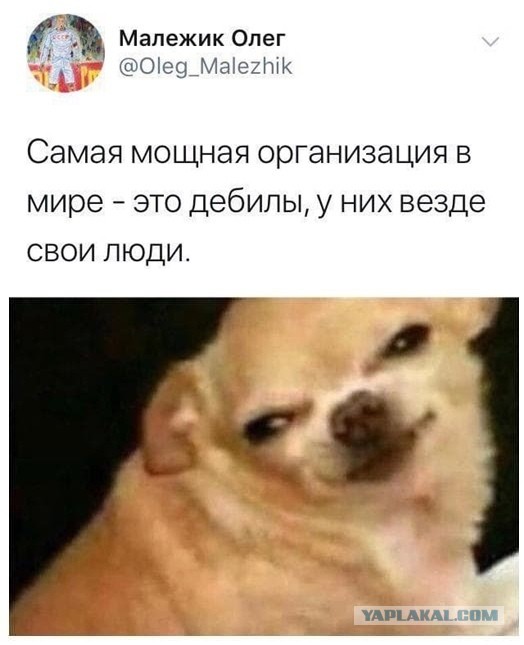 Бредзона 25.12.20