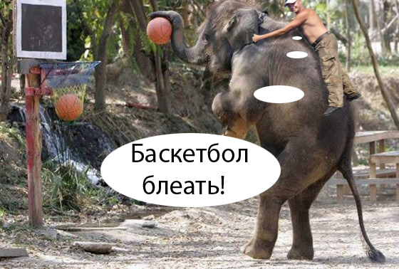 Фотожаба: На пеньке