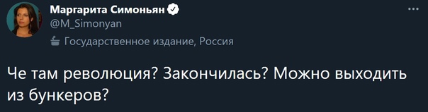 Власти Москвы насчитали 300 человек на акции протеста