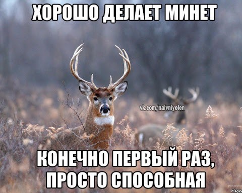 Всемирный день минета