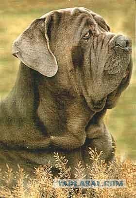 Можно я с краешку прилягу?