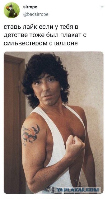 Сделай Сталлоне