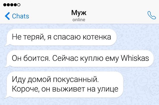 Так себе картинки 19.08.21