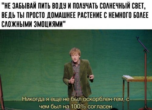 Так себе картинки 14.09.21