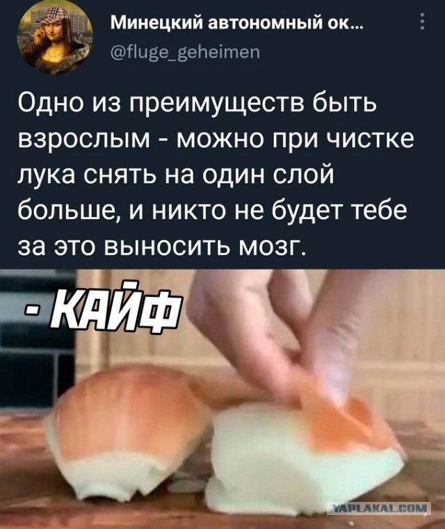 Весёлый полтишок 26.01