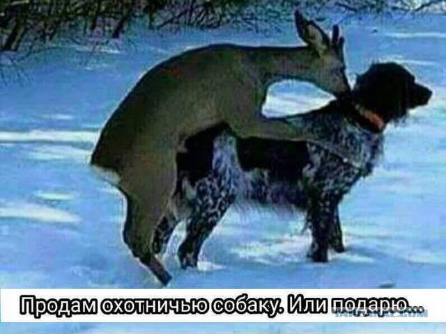 На мемы надейся, а сам не плошай! 12.02.22