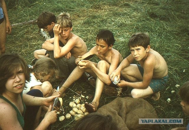 П/л Бауманец. Пересменок