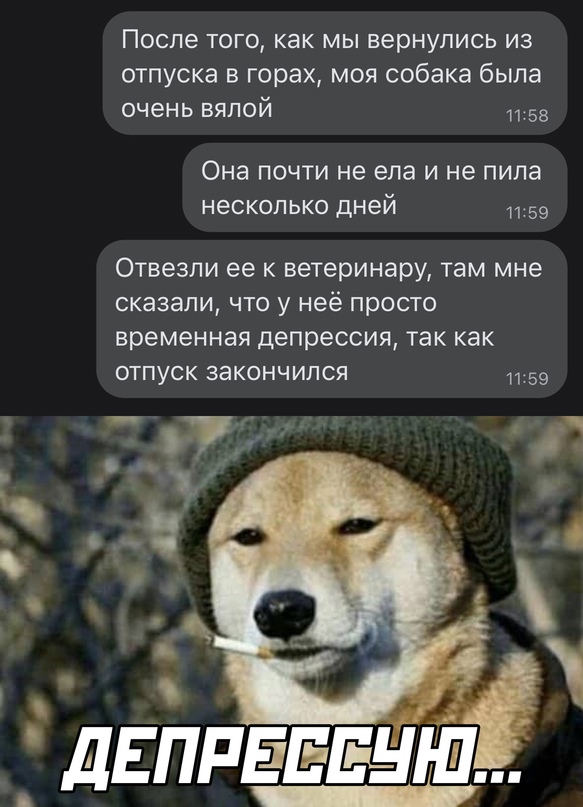 Картинки и мемы для настроения - 19